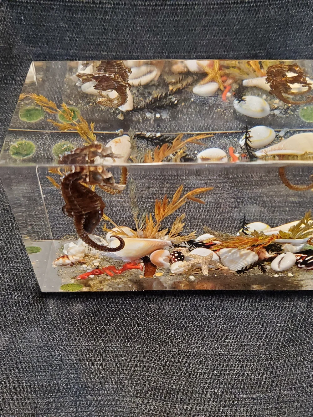 Vintage Mid-Century Canadian Lucite Seahorse Acrylic Block Paperweight